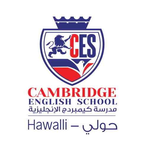 العميل الصورة